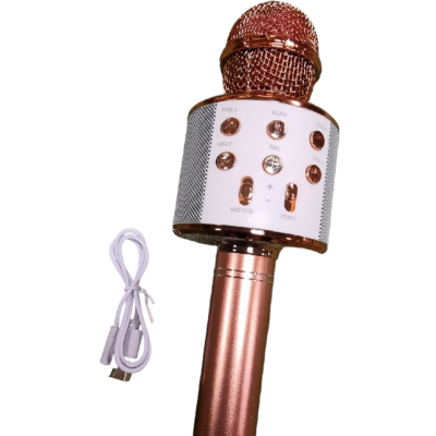 Mikrofon (roosakas-kuldne)